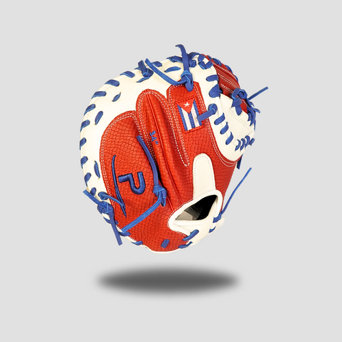Nation's Catcher's Glove