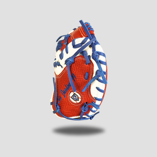 Nation's Catcher's Glove