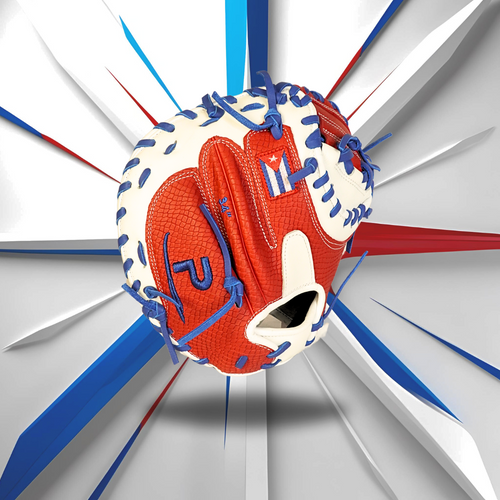 Nation's Catcher's Glove