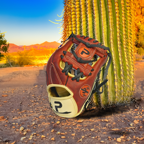 The Red Rock Cactus🌵🌄